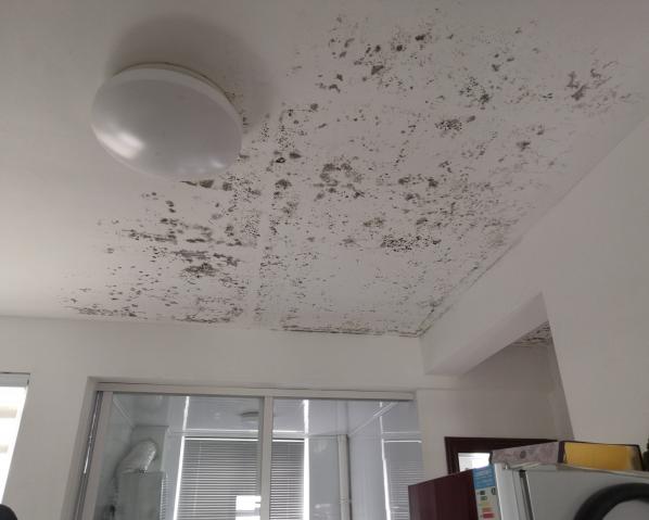 深化黨建推動引領，提升租戶居住幸福指數(shù)