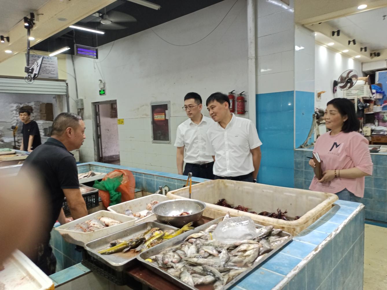 管好“菜籃子”，守護(hù)“大民生”國資運(yùn)營公司開展菜市場大巡查